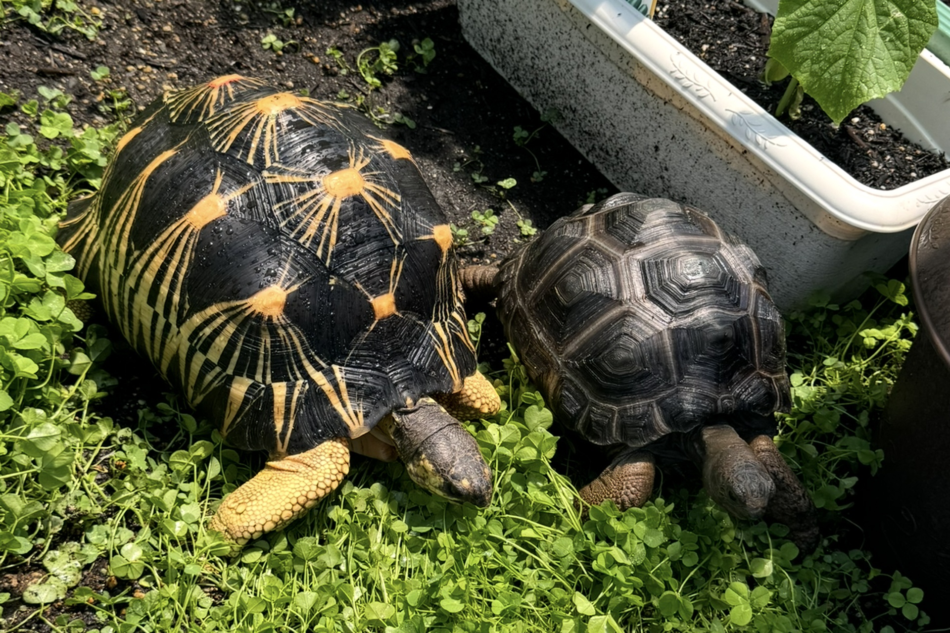 飼育スペースで動物を抱いてお世話をするスタッフ