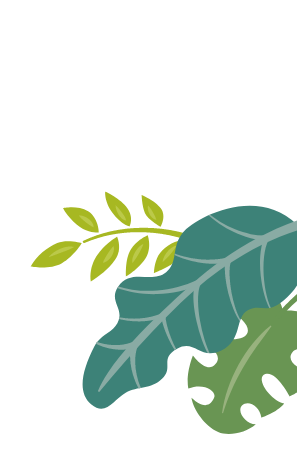 装飾